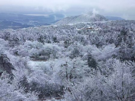 微信圖片_20190104114811.jpg
