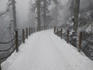 西嶺雪山純玩一日游