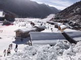 鷓鴣山