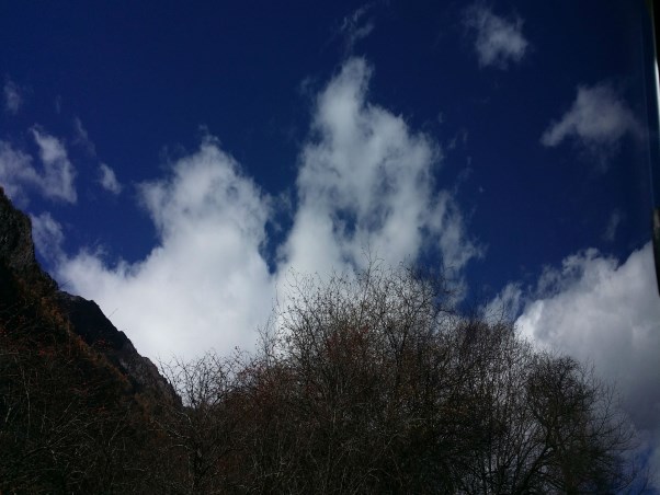 20141030_131001.jpg
