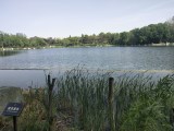 浣花溪公園