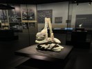 成都樂山大佛登山黃龍溪古鎮(zhèn)三星堆或金沙遺址熊貓基地純玩4日游