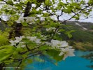 成都九寨黃龍雙動半自由5日游【2-8人小團午去午回】旅拍升級版
